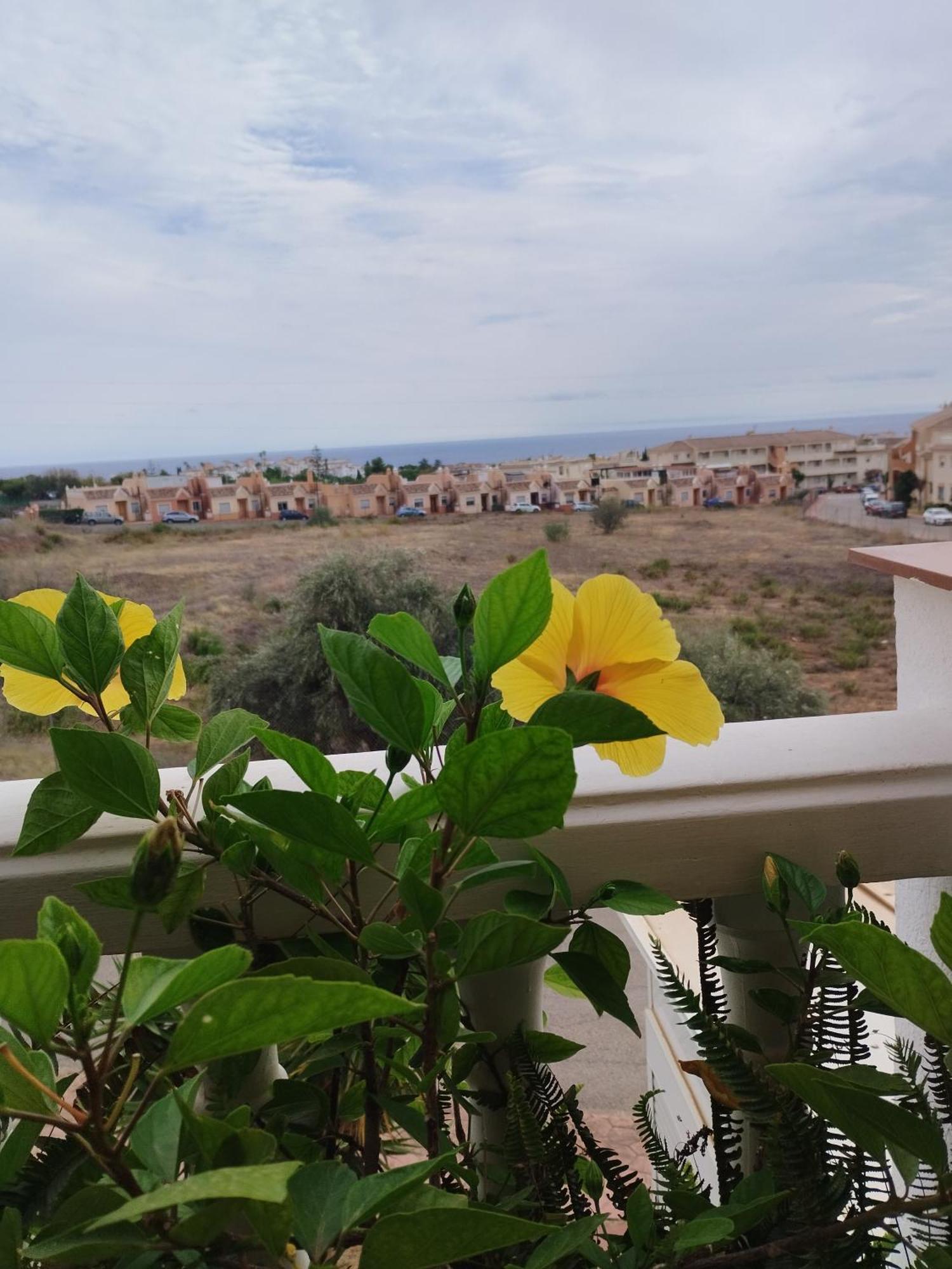 Casa Carino Apartment Torrox Ngoại thất bức ảnh